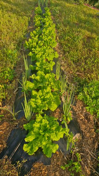 정석구님의 자유주제 · 자유게시판 작성글 사진