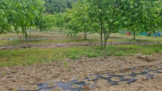 정석구님의 자유주제 · 자유게시판 작성글 사진