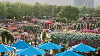 늘푸른농장님의 자유주제 · 자유게시판 작성글 사진