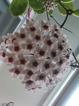 유영옥님의 자유주제 · 자유게시판 작성글 사진