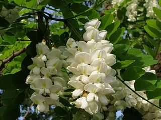 박명광님의 자유주제 · 자유게시판 작성글 사진