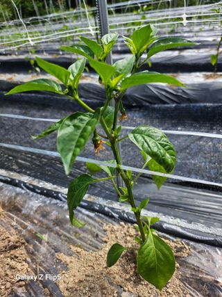 영숙님의 자유주제 · 자유게시판 작성글 사진