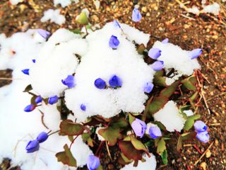 고추건조기부품판매님의 자유주제 · 자유게시판 작성글 사진
