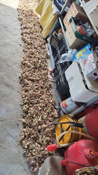 김중언님의 작성글 사진