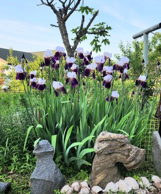 고추건조기부품판매님의 자유주제 · 자유게시판 작성글 사진