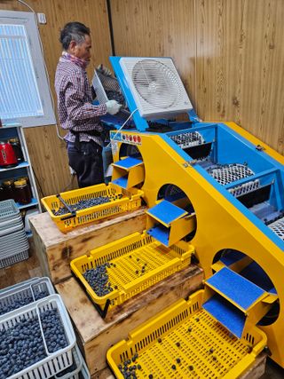 제주 지안이네농장님의 자유주제 · 자유게시판 작성글 사진