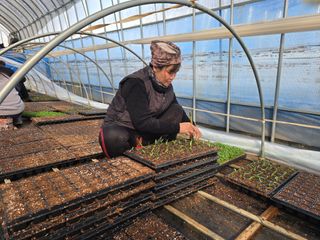 박수열님의 자유주제 · 자유게시판 작성글 사진