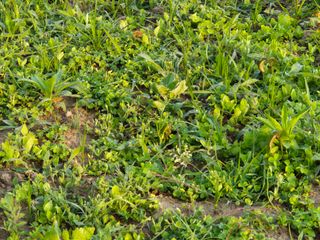 외동농장님의 자유주제 · 사진전 작성글 사진