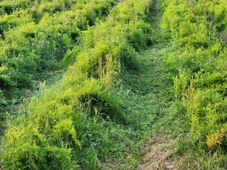 이창신님의 자유주제 · 자유게시판 작성글 사진