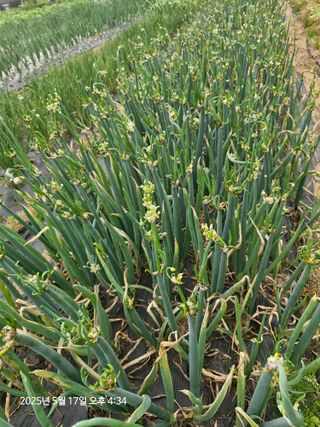 김인혁님의 작성글 사진