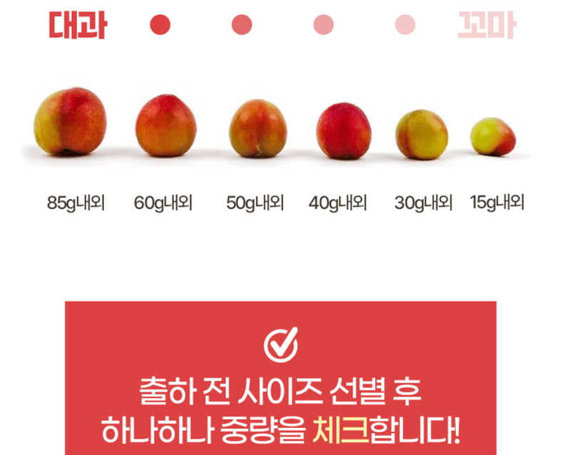 스피드번님의 장터 판매 상품 [하우스 자두] 첨부 사진