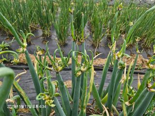 김인혁님의 작성글 사진
