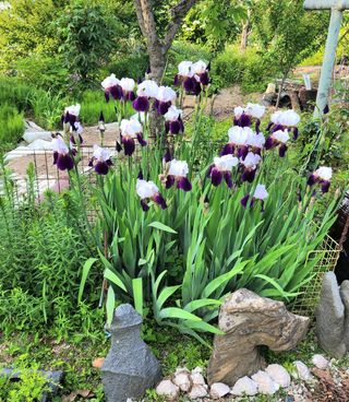 고추건조기부품판매님의 자유주제 · 자유게시판 작성글 사진