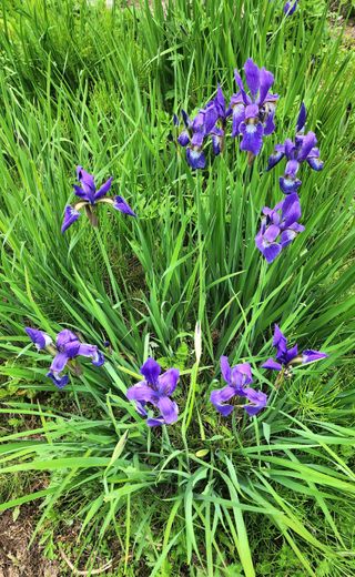 고추건조기부품판매님의 자유주제 · 자유게시판 작성글 사진