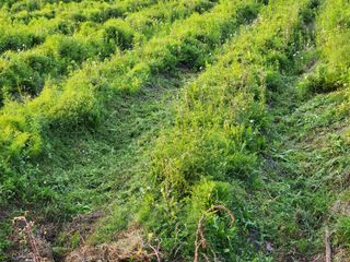 이창신님의 자유주제 · 자유게시판 작성글 사진