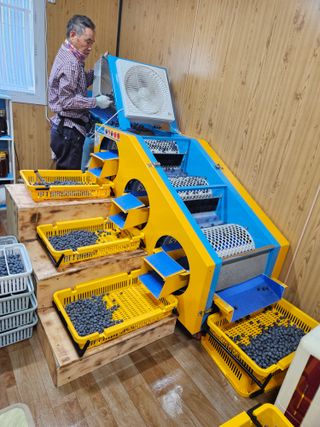 제주 지안이네농장님의 자유주제 · 자유게시판 작성글 사진