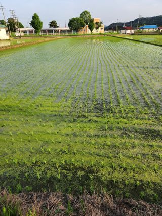 보은 김영순님의 자유주제 · 자유게시판 작성글 사진