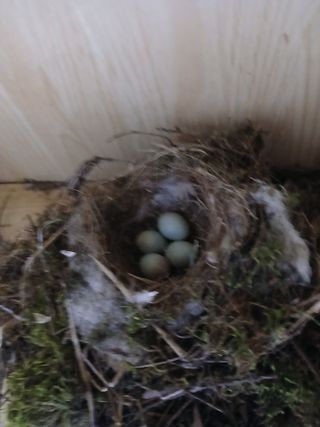 대지털님의 자유주제 · 자유게시판 작성글 사진