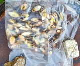 팜모닝 자유주제·자유게시판 게시글 이미지