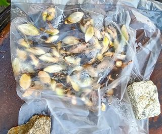 고추건조기부품판매님의 자유주제 · 자유게시판 작성글 사진