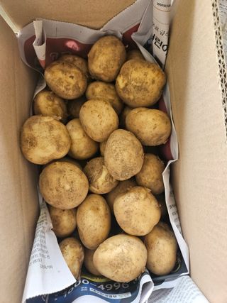 이재관(황토속애)님의 작성글 사진