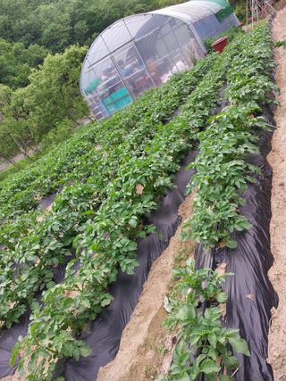 달수님의 작성글 사진