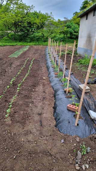 정의동님의 자유주제 · 자유게시판 작성글 사진