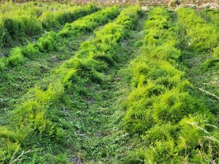 이창신님의 자유주제 · 자유게시판 작성글 사진