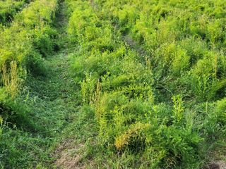 이창신님의 자유주제 · 자유게시판 작성글 사진