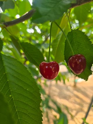 자연인님의 자유주제 · 자유게시판 작성글 사진