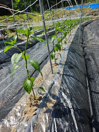 영숙님의 자유주제 · 자유게시판 작성글 사진