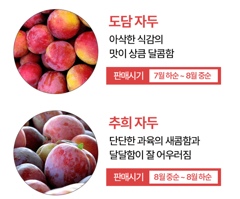 스피드번님의 장터 판매 상품 [하우스 자두] 첨부 사진