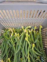 팜모닝 · 게시글 이미지