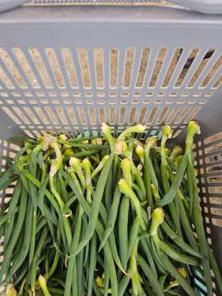 주명숙님의 작성글 사진