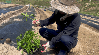 누보농장님의 자유주제 · 자유게시판 작성글 사진