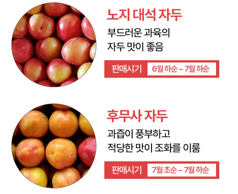 스피드번님의 장터 판매 상품 [하우스 자두] 첨부 사진