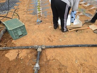 박수열님의 자유주제 · 자유게시판 작성글 사진