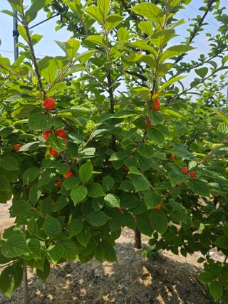 자연인님의 자유주제 · 자유게시판 작성글 사진