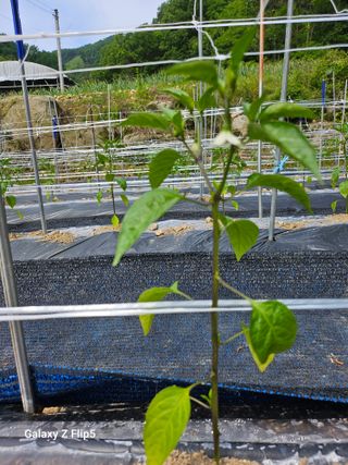 영숙님의 자유주제 · 자유게시판 작성글 사진