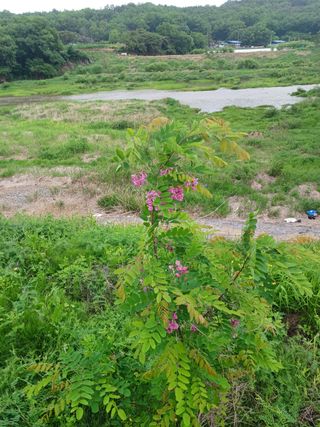 이창우님의 자유주제 · 자유게시판 작성글 사진