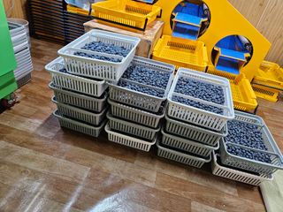 제주 지안이네농장님의 자유주제 · 자유게시판 작성글 사진