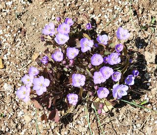 고추건조기부품판매님의 자유주제 · 자유게시판 작성글 사진