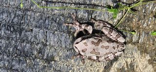 임 촌장.님의 자유주제 · 자유게시판 작성글 사진