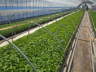 박수열님의 자유주제 · 자유게시판 작성글 사진