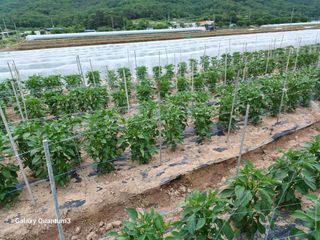 이창우님의 자유주제 · 자유게시판 작성글 사진