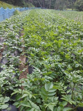 전국하님의 자유주제 · 자유게시판 작성글 사진