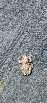 팜모닝 자유주제·자유게시판 게시글 이미지