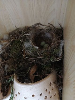 대지털님의 자유주제 · 자유게시판 작성글 사진