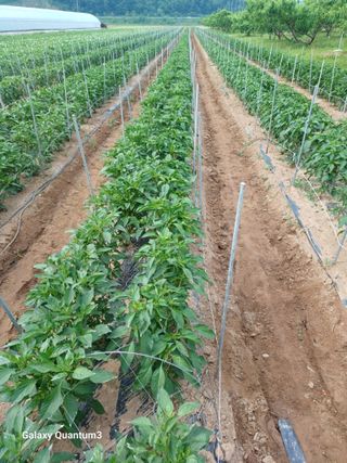 이창우님의 자유주제 · 자유게시판 작성글 사진