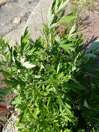 김경란 님의 자유주제 · 자유게시판 작성글 사진